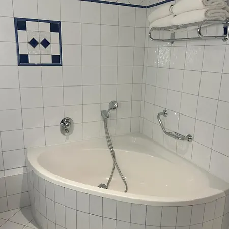 Célestins Vichy